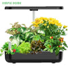 Hydroponic Indoor Plant Growing System