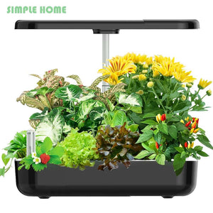 Hydroponic Indoor Plant Growing System