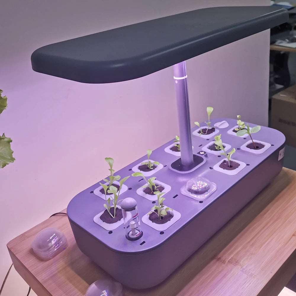 Hydroponic Indoor Plant Growing System